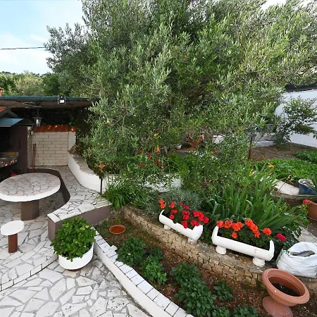 Mihovilovic - 50 M From